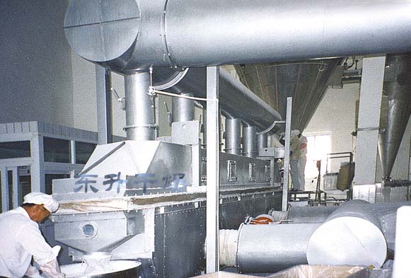 ZDL Vibrating Fluidized Bed